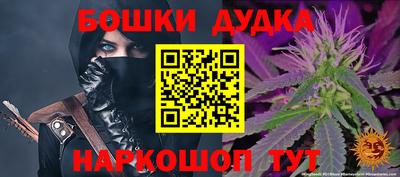 apvp Партизанск