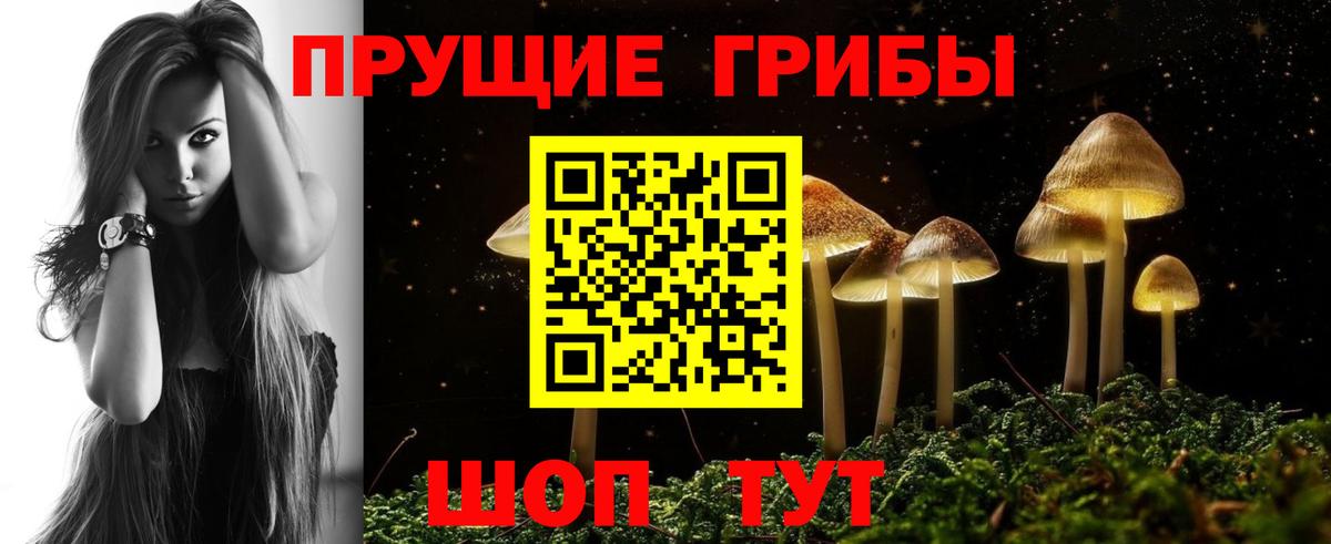 Скопин  Псилоцибиновые грибы прущие грибы  Вход с VPN  Псилоцибиновые грибы GOLDEN TEACHER 