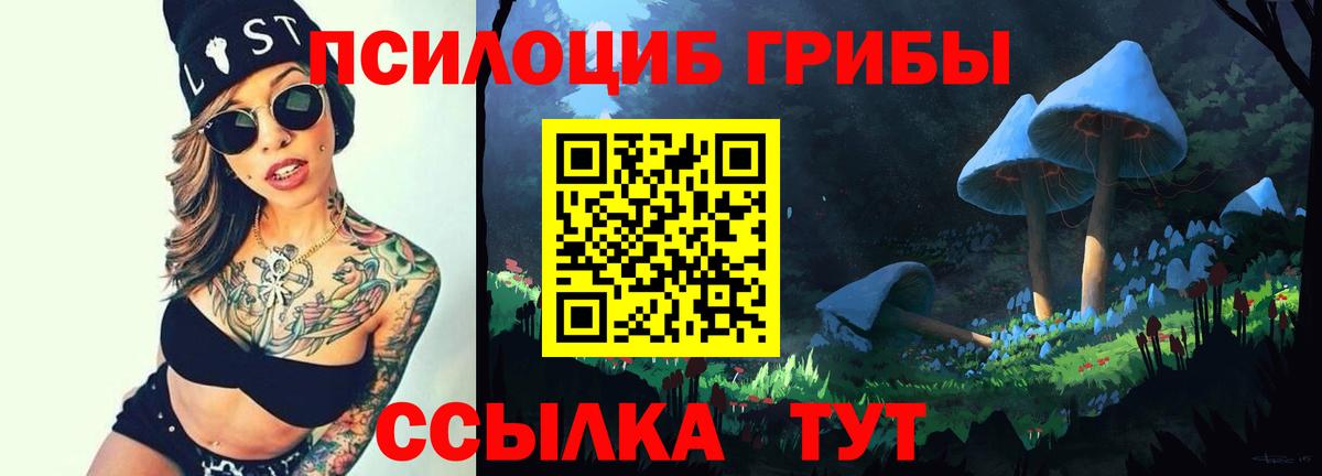 Галлюциногенные грибы прущие грибы Скопин